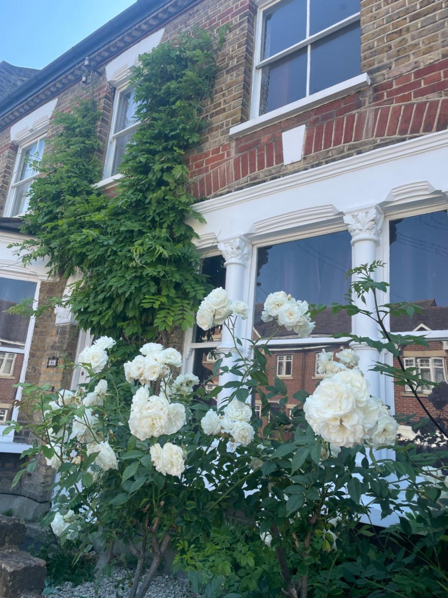 Traditional English 4 Bedroom Home In Greenwich Plumstead  Exterior foto