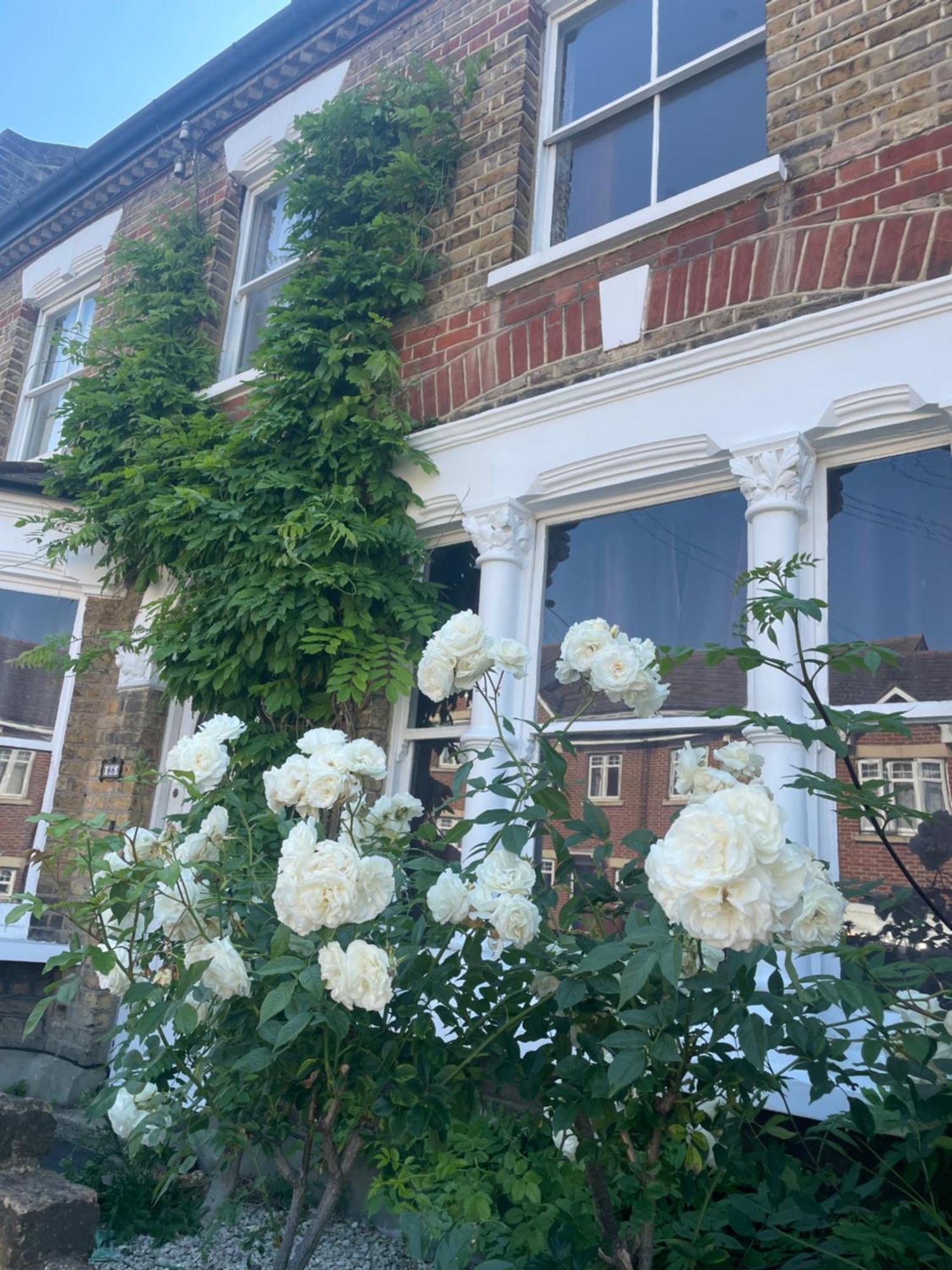 Traditional English 4 Bedroom Home In Greenwich Plumstead  Exterior foto